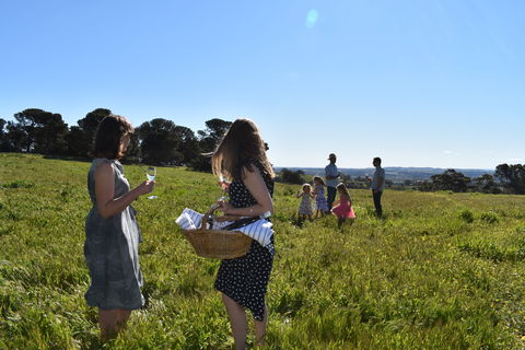Paisley Wines - Sydney 4u 1