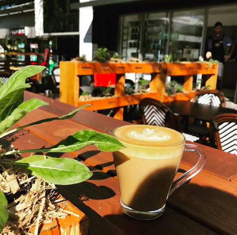 Apothecafe - Accommodation Sydney 0