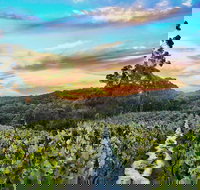 Between the Vines Cellar Door - Accommodation Sydney