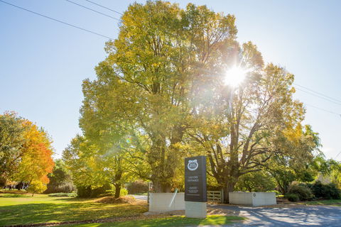 Brown Brothers Milawa Vineyard - Sydney 4u 0