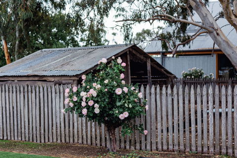 Penny's Hill Winery - Accommodation Sydney 2