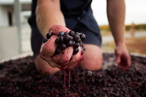 Tomfoolery Wines - Sydney 4u 0