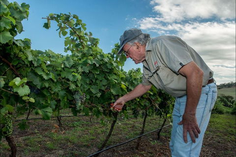 Vale Creek Wines - Sydney 4u 2