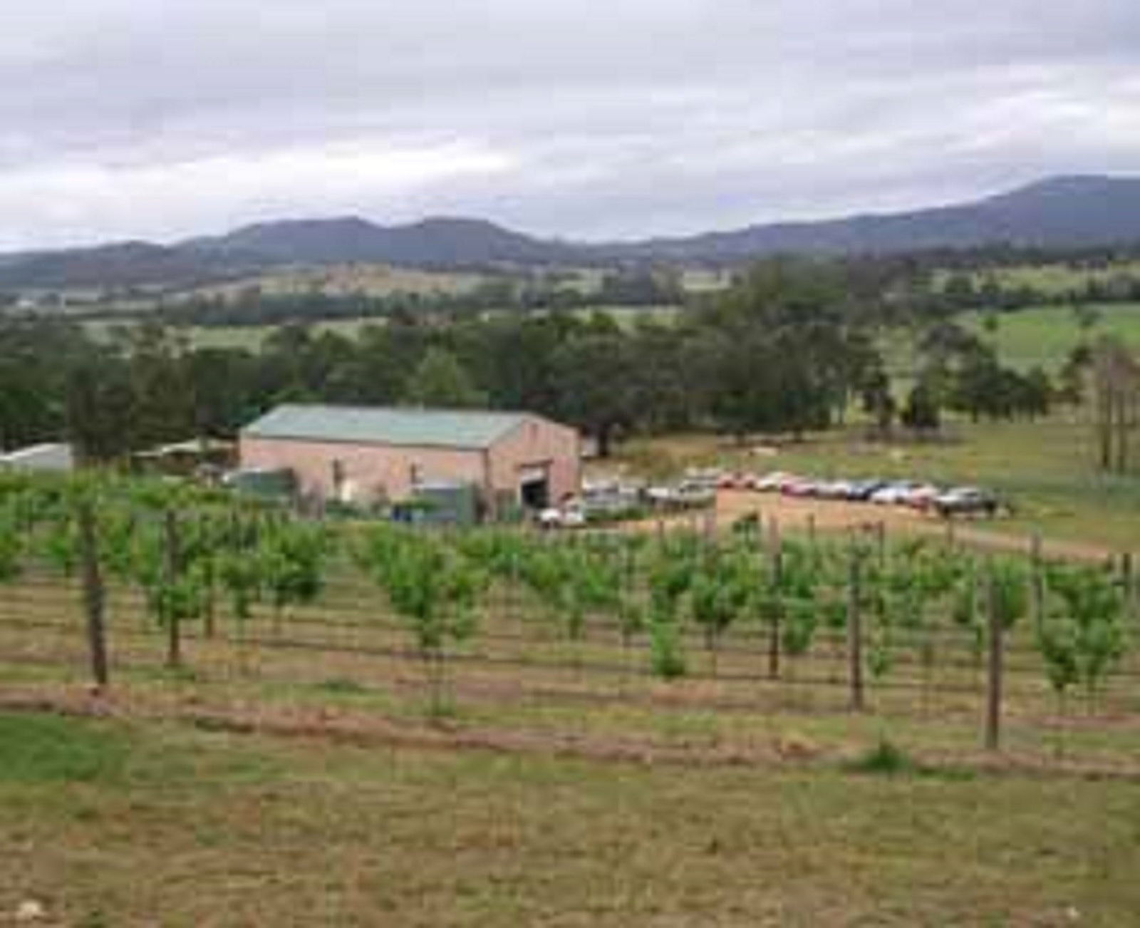 Dyers Crossing NSW Sydney 4u