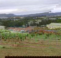 Villa d Esta Vineyard - Sydney 4u