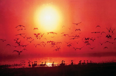 Exotic North Indian Cuisine - Accommodation Sydney 0