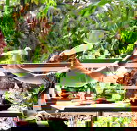 Jaques Coffee Plantation - Sydney 4u