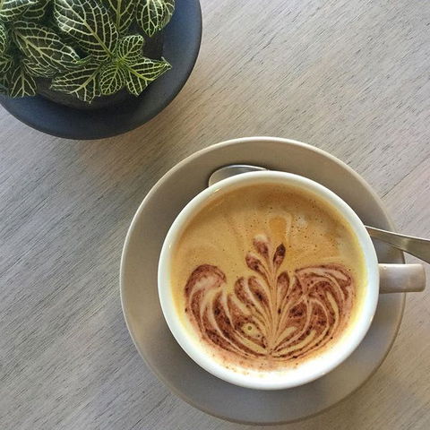 Soul Surf Cafe - Accommodation Sydney 0