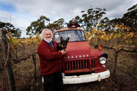 The Shiraz Republic - Sydney 4u 0