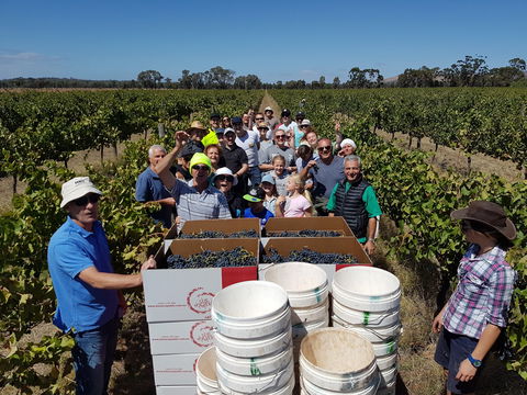 The Shiraz Republic - Sydney 4u 1