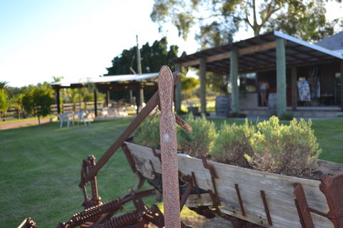 Ugly Duckling Wines - Sydney 4u 0