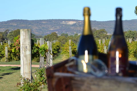 Ugly Duckling Wines - Sydney 4u 1
