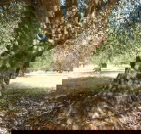 Lentara Grove - Accommodation Sydney