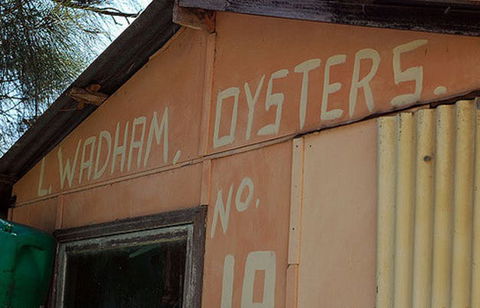 Les Wadham Oysters - Broken Bay Pacific Oysters - Accommodation Sydney 0