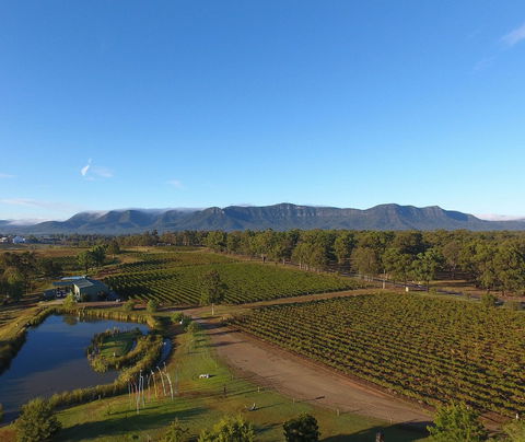 Mistletoe Winery - Accommodation Sydney 0