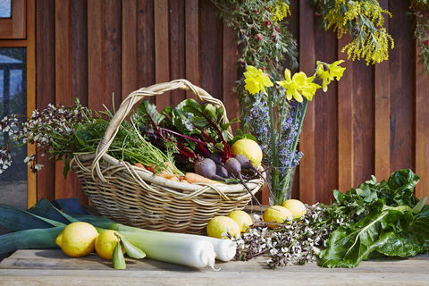 O'Reilly's Orchard - Sydney 4u 1