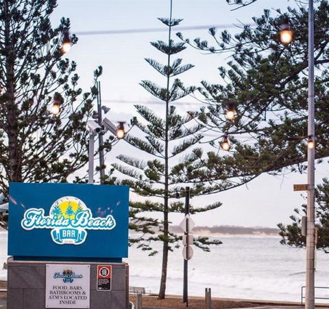 Anchovy - Accommodation Sydney 2