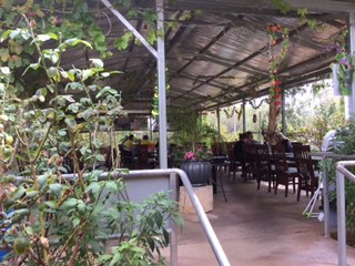 Alice Vietnamese Restaurant - Accommodation Sydney 4