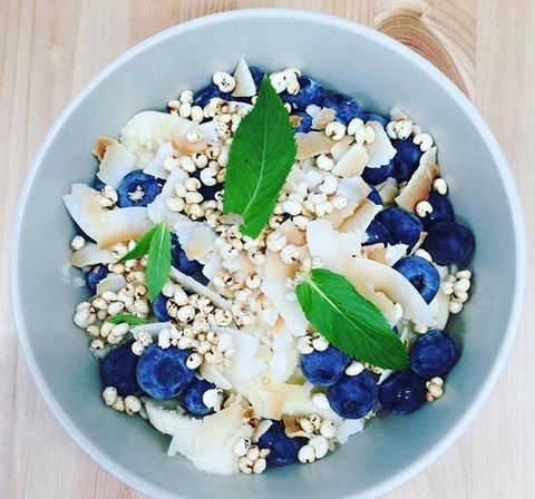 Proteini - Accommodation Sydney 5