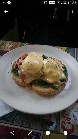 Cafe 176 - Accommodation Sydney 0