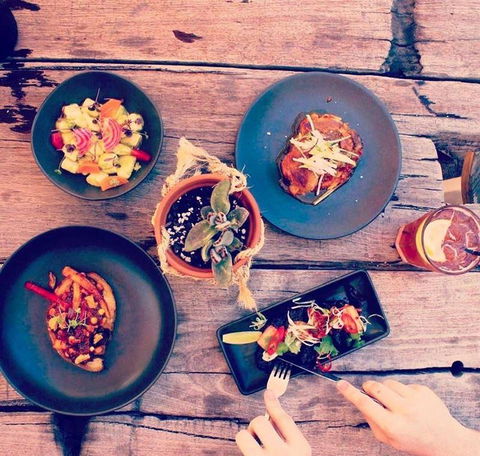 Scenic Rim Brewery & Cafe - Accommodation Sydney 7