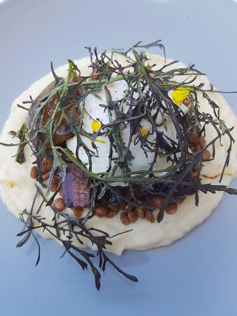 Pantry 360 - Sydney 4u 4