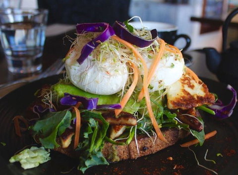 Parida Bondi - Accommodation Sydney 19