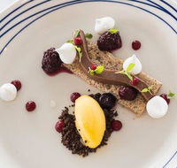 Wild Herring - Sydney 4u