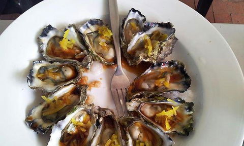 Ellis Beach Bar & Grill - Sydney 4u 2