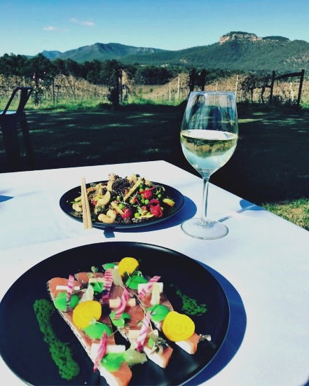 Mount Broke Wines Restaurant - Sydney 4u 2