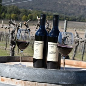 Mount Broke Wines Restaurant - Sydney 4u 5