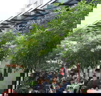 Harry's on Green Lane - Sydney 4u