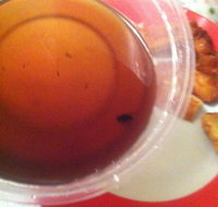 Labrador Chinese Restaurant - Sydney Resort