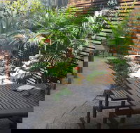 The Garden Plate - Sydney 4u
