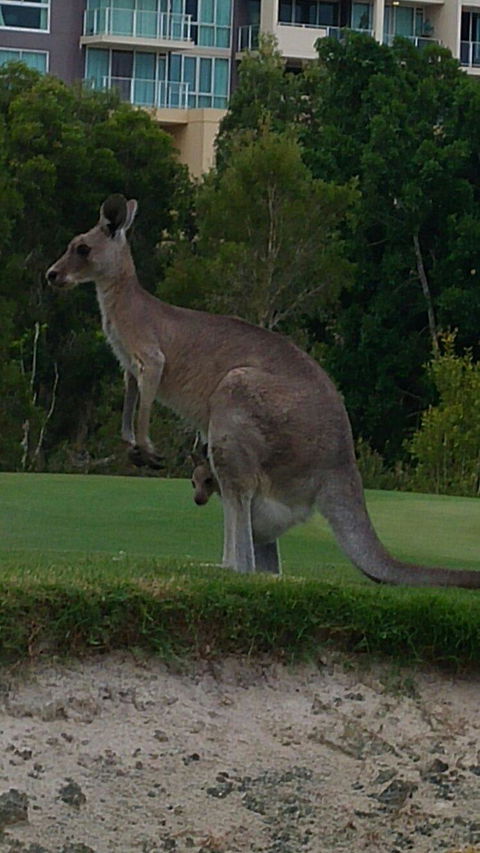 T On Course - Accommodation Sydney 6