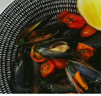 The Italian Diner - Sydney 4u