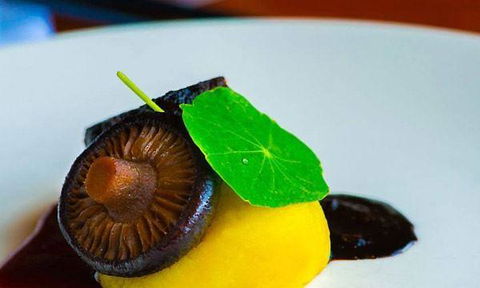 Piccolo Cucina - Sydney 4u 8
