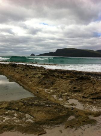 Bruny Island Berry Farm - Sydney 4u 0
