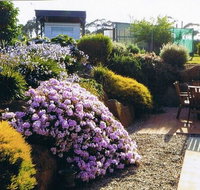 Pipers River Tea House and Crafts - Accommodation Sydney