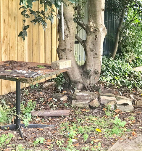 Prince Of Wales Hotel - Accommodation Sydney 1