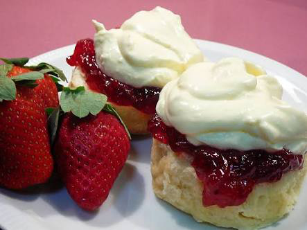 Point Vernon QLD Accommodation Sydney