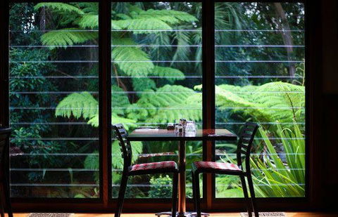 Meze Me Grove - Sydney 4u 18