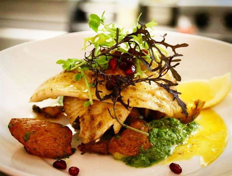 Meze Me Grove - Sydney 4u 4