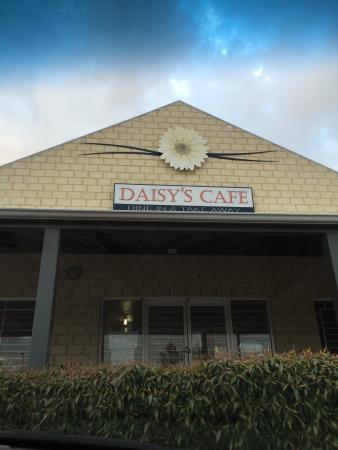 Daisy's Cafe - Accommodation Sydney 0