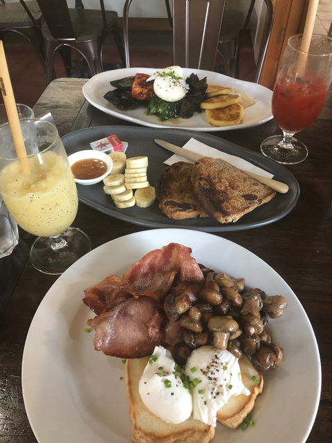 Goanna Cafe And Gallery - Sydney 4u 1