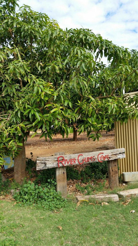 River Gums Cafe - Accommodation Sydney 2