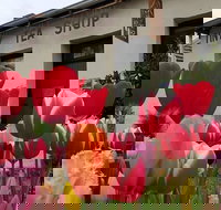 Tiny Tea Shop - Accommodation Sydney