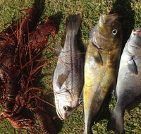 Ledge Point Country Club - Accommodation Sydney