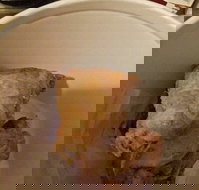 KFC - Accommodation Sydney