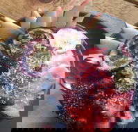 Alchemy Cafe - Accommodation Sydney